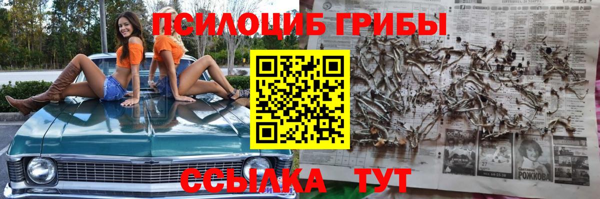Ангарск  Галлюциногенные грибы Cubensis  Вход с VPN  Галлюциногенные грибы GOLDEN TEACHER 